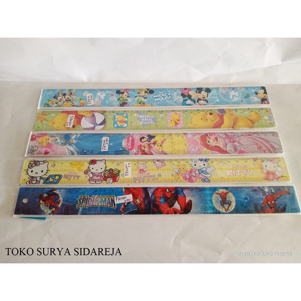 CUTE CARTOON RULER 30CM LENGTH