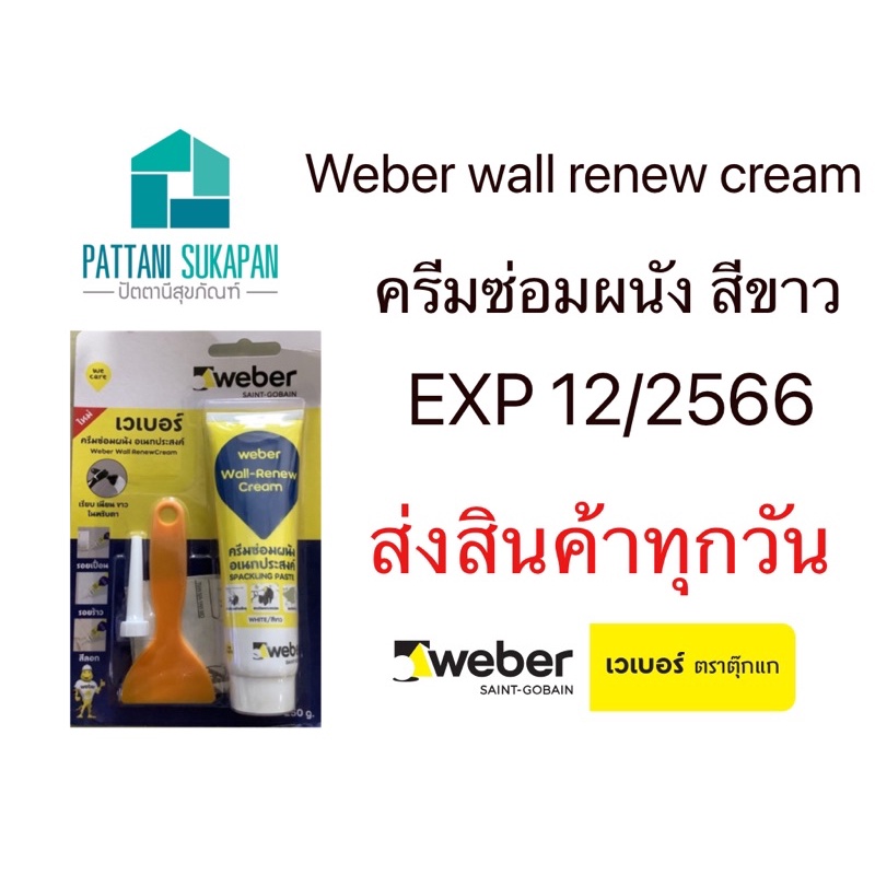 Weber Wall RenewCream ครีมซ่อมผนังอเนกประสงค์