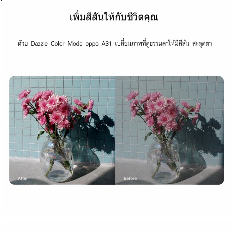 My Image 4