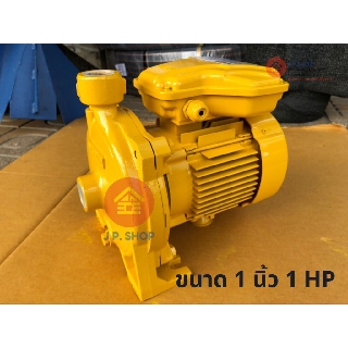 ปั๊มไฟฟ้า Mitsubishi 1 นิ้ว 1 HP ACH-755S ปั๊มน้ำ ปั๊มน้ำหอยโข่ง