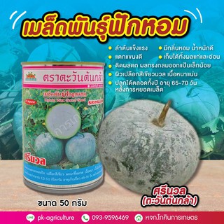 เมล็ดพันธุ์ฟักหอม ศรีนวล (ตะวันต้นกล้า) ขนาด 50 กรัม