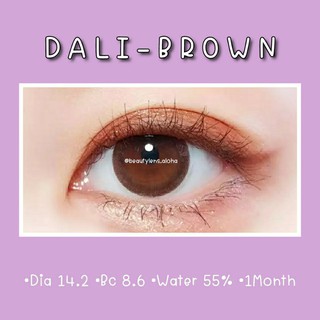 🌈Dali-Brown☆สายตา 00-1000 ☆รายเดือน