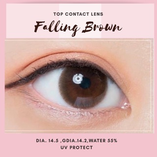 Kitty kawaii falling brown / gray ค่าสายตา 0.00-600