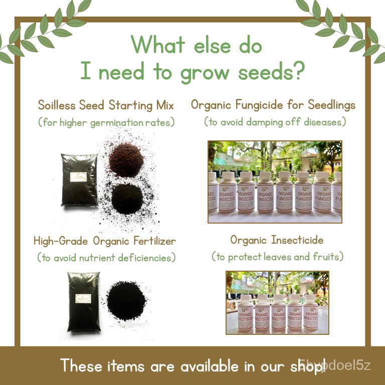 • Okra Seeds • Lady Finger Seeds • Vegetable Seeds • Plant Seeds •木瓜/芹菜/玫瑰/帽子/上衣/鲜花/文胸/儿童/通心菜/生菜/ GI