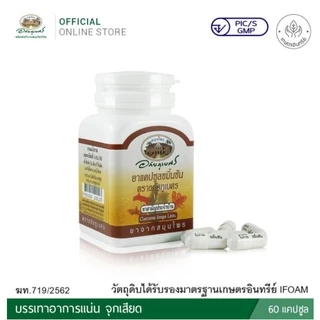 ล็อตใหม่!! ขมิ้นชัน อภัยภูเบศร ช่วยลดอาการแน่นท้อง จุกเสียด ท้องอืด ท้องเฟ้อ 60 แคปซูล (1 ขวด) (P-3216)