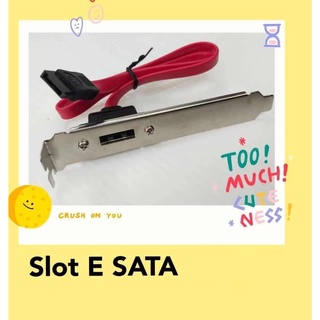 ส่งจากไทย Slot E SATA สล็อต อี ซาต้า พร้อมส่ง