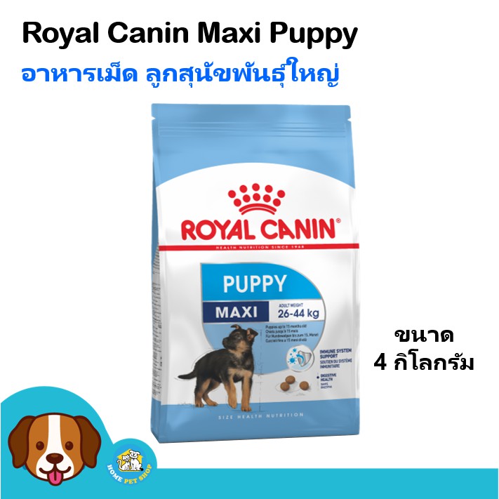 Royal Canin Maxi Puppy (4 kg) อาหารสุนัข ช่วยเสริมสร้างกระดูก สำหรับลูกสุนัขพันธุ์ใหญ่ น้ำหนัก 26-44 กิโลกรัม