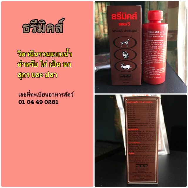วิตามินรวมสูตรน้ำ ธรีมิคส์ ( THREE MIX ) 100ml