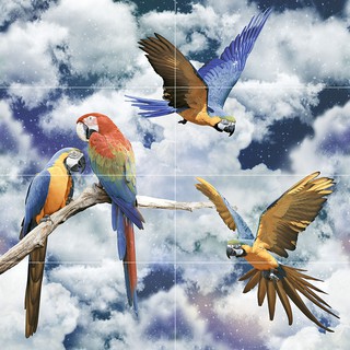 กระเบื้องผนังภาพชุด PARROTS SET 120X120*A (30X60CM/8 แผ่น/ชุด)