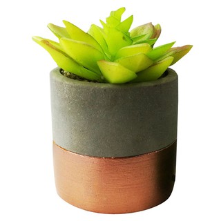 ไม้อวบน้ำในกระถางเซรามิค 01 ARTIFICIAL POTTED PLANT WITH POT SPRING 01