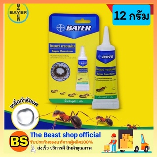 The Beast Shop_[12g] Bayer Quantum เจลกำจัดมด ไบเออร์ ควอนตั้ม ไล่มด