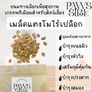 Paws-sible เมล็ดแตงโม อาหารแฮมสเตอร์ ขนมแฮมสเตอร์ อาหารกระรอก ขนมกระรอก อาหารชูการ์ ขนมชูการ์ หนูแรท ดัมโบ้แรท