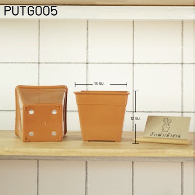 PUTG-005 กระถางเหลี่ยม 5 นิ้ว มี 3  สีให้เลือก สีขาว สีดำ สีอิฐ ราคา ถูกที่สุด ดีลบีเคเค แกลเลอรีภาพที่ 4