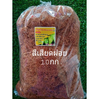 💲สีเสียดฝอย💲เจ้นิคโคราช10กก.