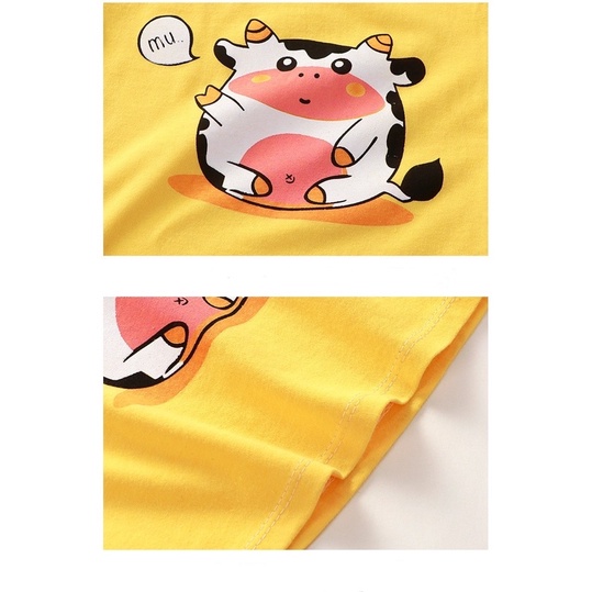 รูปภาพ 7