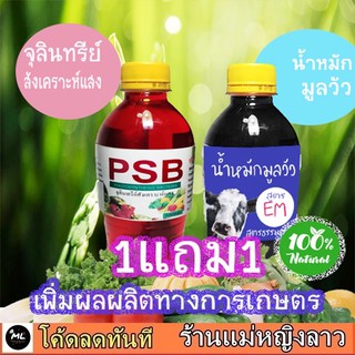 1แถม1 น้ำหมักชีวภาพ น้ำหมักมูลวัวสูตร em  จุลินทรีย์สังเคราะห์แสง แดง เขียว PSB ปุ๋ยคอก อาหารจานด่วนพืช 255