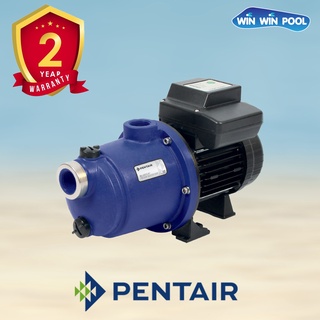 บูสเตอร์ปั๊ม PENTAIR BLUEFLO เพิ่มประสิทธิภาพเครื่องฉีดน้ำแรงดัน มี 2 รุ่น 1-1.5 HP คุณภาพระดับโลกจากยุโรป รับประกัน 2ปี