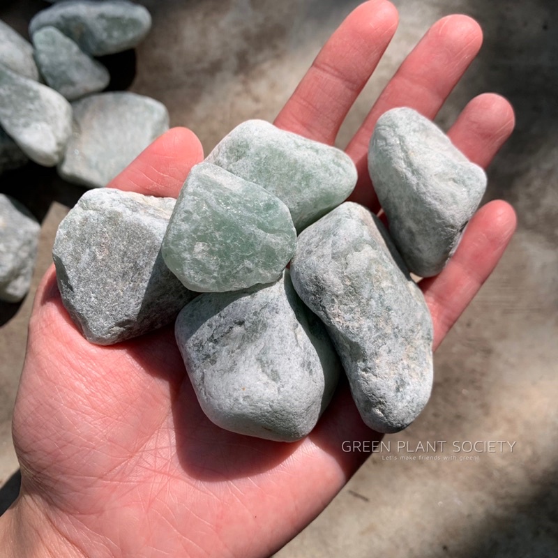 GPS Green Plant Society กรวดตกแต่ง Pebble Stone (Rainforest)