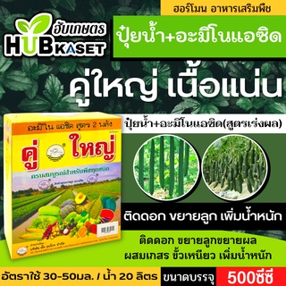 🌱 คู่ใหญ่(อะมิโนแอซิด) ขยายลูก ดอก เพิ่มน้ำหนัก ขนาดบรรจุ 500+500ซีซี