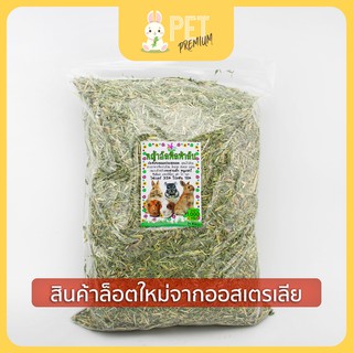 หญ้าอัลฟาฟ่าสับ 1 กิโลกรัม Alfalfa stream cut by pet premium