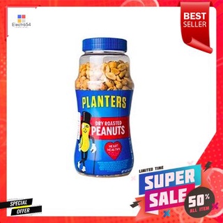 Planters Peanuts Lightly Salted 454g ถั่วลิสงเค็มเล็กน้อย 454g