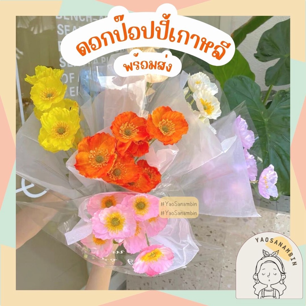 ร้านคนไทย ดอกป๊อปปี้ แต่งบ้านสไตล์เกาหลี ก้านยาว ปักแจกัน จัดช่อ