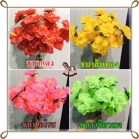 ดอกชบา ดอกชบาช่อได้1ช่อมี 5ดอก ช่อดอกชบาช่อใหญ่ ช่อดอกไม้ไหว้พระพิฆเนศ ชบาไหว้พระ ชบาตกแต่ง
