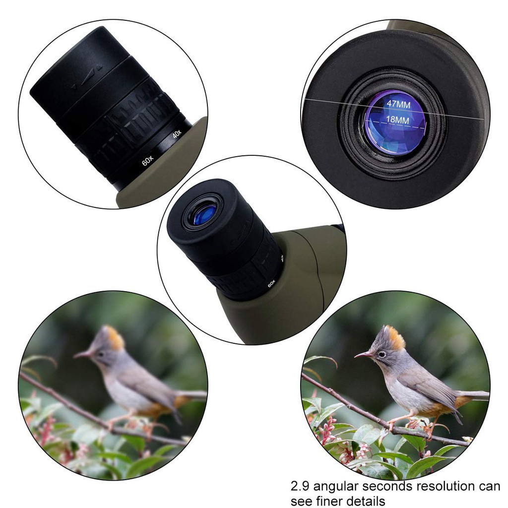 Svbony SV401 Spotting Scope 20-60x80 ซูมกล้องโทรทรรศน์ขาตั้งกล้อง Bk7 Prism สําหรับกลางแจ้งดูนก — صورة 2