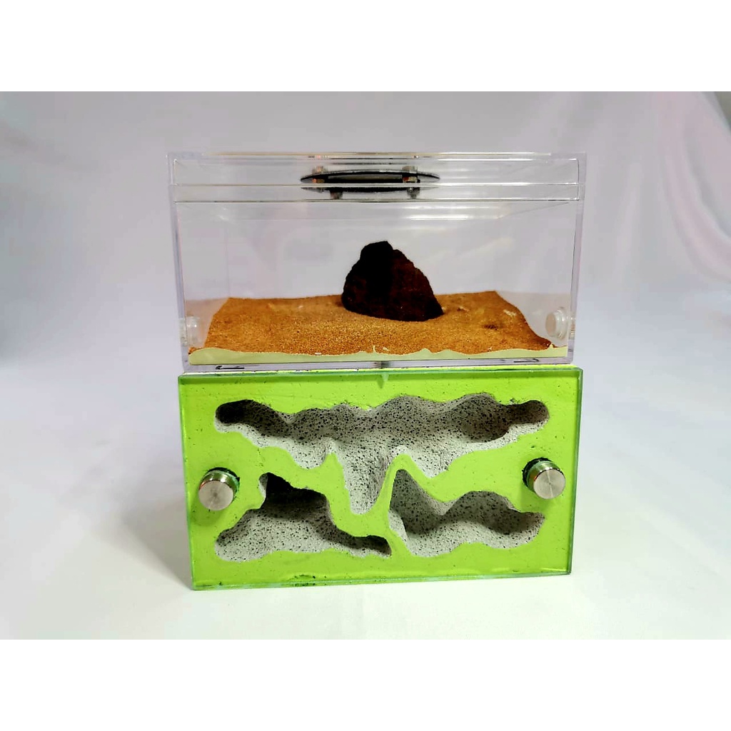 Handcrafted Volcano Formicarium - Ant Keeping Ant Farm Handcrafted Formicarium The Ant Shop Ant Keep