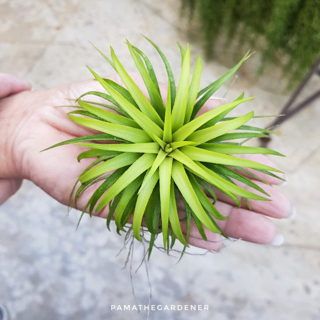 มุมมอง 2