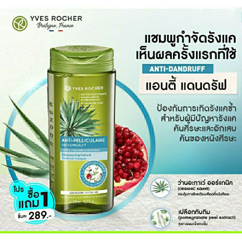 (โปรเดือนนี้ ล็อตใหม่ที่สุด Exp.12/24) *สูตรป้องกันรังแค* Yves Rocher BHC V2 Anti Dandruff Treatment Shampoo