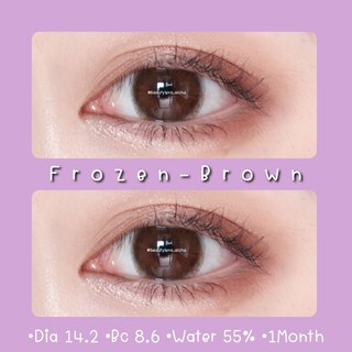 🦋Frozen-Brown☆สายตา 00-1000☆รายเดือน