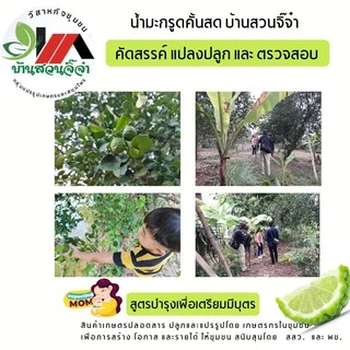 🔥น้ำมะกรูดอินทผาลัม มี อ.ย. เซต 10 ขวด 🤰บ้านสวนจิ๊จ๋าฯ สูตรบำรุงคุณแม่-คุณพ่อ🔥