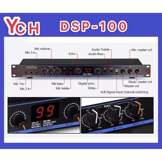 YCH DSP 100 Professional Power คาราโอเกะ-ออกแบบ Preamp 99 Digital Reverb Effects ปรับลำโพงไม่มีเสียงรบกวนสำหรับ Stage