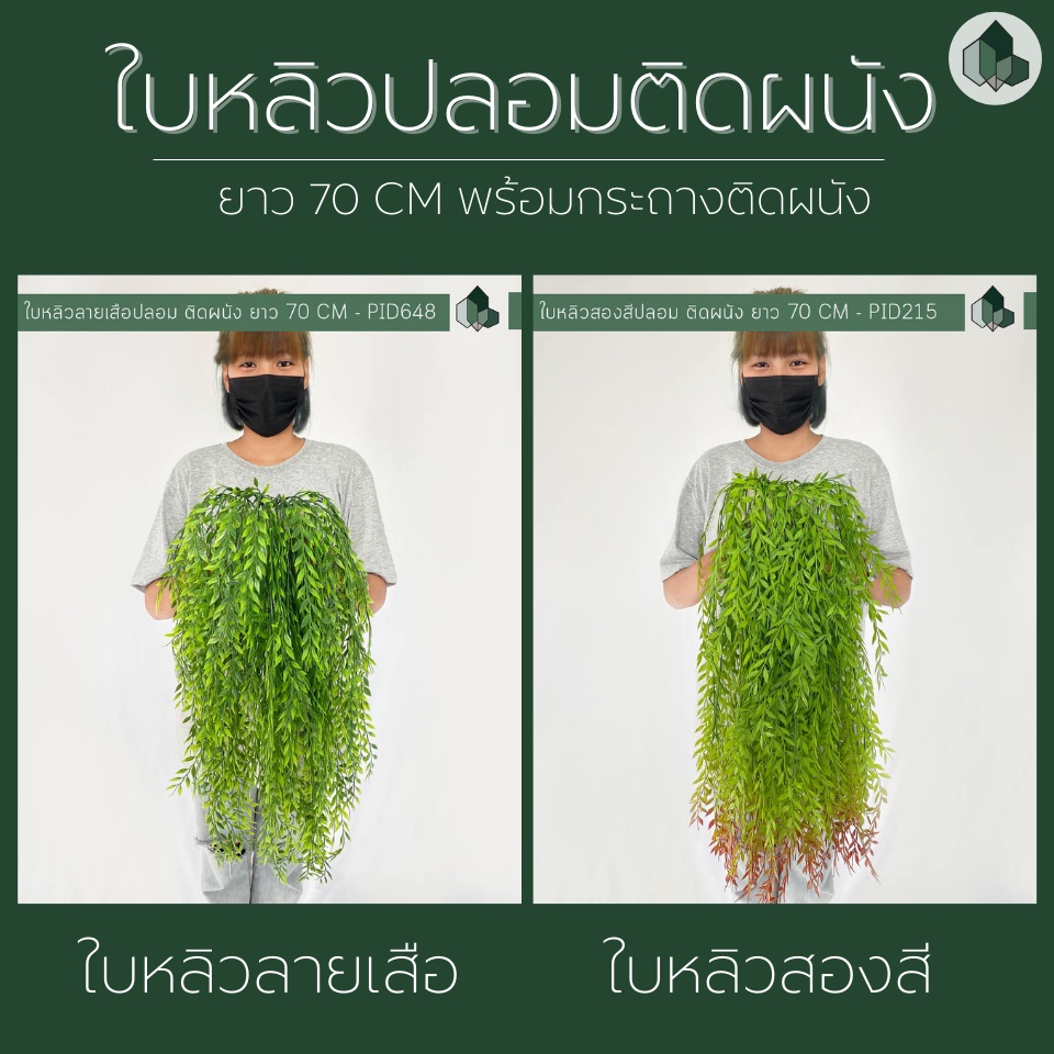 ไม้เลื้อยปลอม ไม้เลื้อยใบหลิวปลอมยาว70 CM แบบติดผนัง ฟรี!!ตัวติดผนังสูญญากาศ[ออกใบกำกับภาษีได้ ]