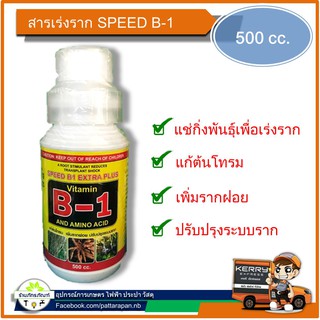 B1 น้ำยาแช่กิ่งพันธ์สำหรับเร่งรากพืช 500 cc