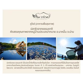 ปลาซิวอบสุกรสจืด ซองใหญ่ 2 ซอง (แพ็ค240 กรัม 2ซอง) คัดคุณภาพ ส่งฟรี ปลาแห้ง ปลาแก้ว ปลาแก้วอบกรอบ phurice {สินค้าพ