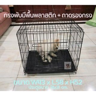 กรงสุนัข กรงแมว กรงพับได้ Pet Cage กรงเหล็ก พร้อมถาดพลาสติกรองกรง ขนาด W43xL58xH52 ซม.