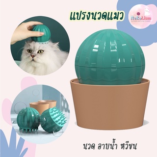 แปรงนวดแมวแคตตัส แปรงหวีขนแมว สุนัข หมา Cactus Pet Brsuh