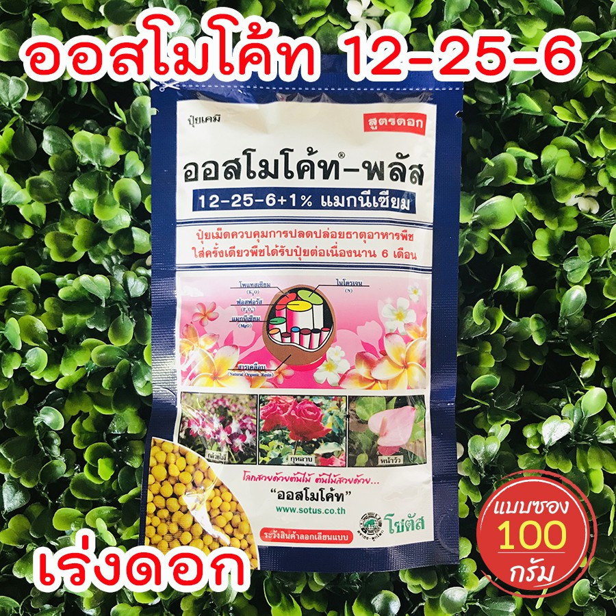 ออสโมโค้ท  (Osmocote) สูตร 12-25-6  ปุ๋ยเร่งดอก ปุ๋ยละลายช้า ปุ๋ยสูตรเสมอ ปุ๋ยออสโมโค้ท ปุ๋ยแคคตัส  