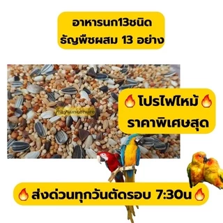 ธัญพืช 13 อย่าง**1 กิโลกรัม สุดคุ้ม**สำหรับนกฟอพัส เลิฟเบิร์ด กรีนชีค ค๊อกคาเทล ซันคอนัวร์ สะอาดคัดเกรด