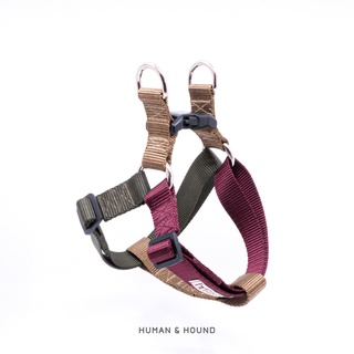 สายรัดอกสุนัข Human and Hound : สายรัดอกสุนัข Dog Harness รุ่น Step-in