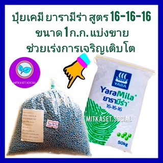 ปุ๋ยยาร่า  16-16-16  ปุ๋ยเร่งต้น แบ่งขาย  ขนาด 1 กิโลกรัม ใช้เร่งการเจริญเติบโต  เร่งต้น  ใช้ได้ในผัก  ไม้ดอกไม้ประดับ