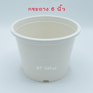 กระถางต้นไม้ สีขาว ขนาด 6 นิ้ว กระถางพลาสติก