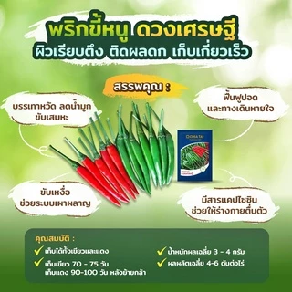 เมล็ดพริกขี้หนู ดวงเศรษฐี ขนาด1,000เมล็ด เมล็ดพันธุ์พริกขี้หนู พริกขี้หนูดวงเศรษฐี ตราเจียไต๋