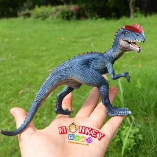 Monkey Toys - โมเดลไดโนเสาร์ Dilophosaurus กรม ขนาด 18.50 CM (จากหาดใหญ่)