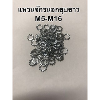 แหวนจักรชุบขาว M 5 - M 16