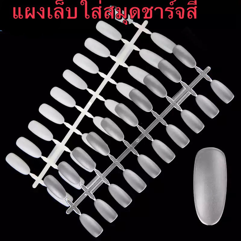 แผงเล็บใส่สมุดชาร์จสี แผงทาเล็บ แผงทานิ้วใหญ่