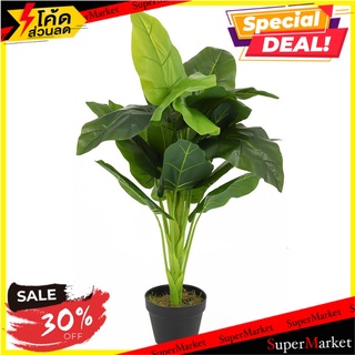 ต้นเศรษฐีวิลสันประดิษฐ์ LALA HOME 80 ซม. ต้นไม้ประดิษฐ์ ARTIFICIAL PLANT SPRING LALA HOME 80 CM อุปกรณ์ตกแต่งสวน