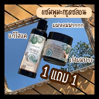 ส่งฟรี🚗 CHALON HERBAL SHAMPOO แชมพูมะกรูดชลอน แชมพูชลอน ทรีเม้นนมม้า